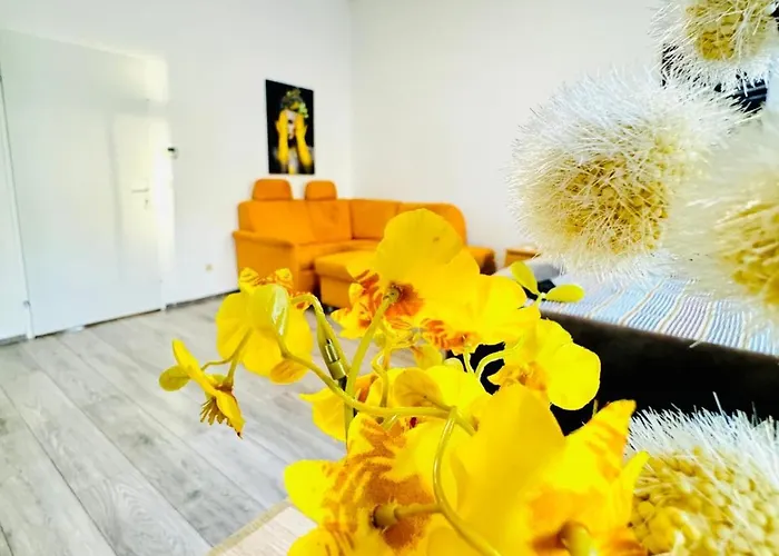 Cozy 3br For Up To 9p, 10 Min To Fac Platz Apartment *